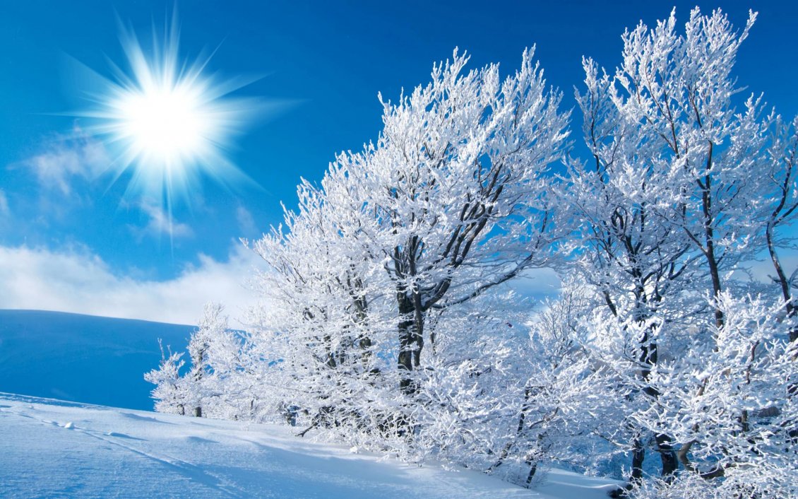 11434_Sunny-winter-day-on-a-cold-season-HD-wallpaper.jpg